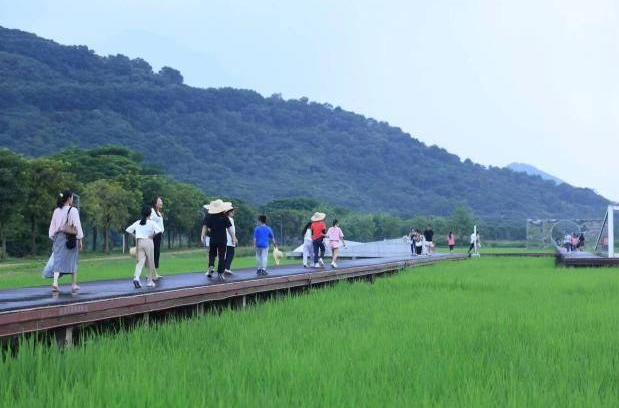 广州乡村游持续升温，游客增长61%迎“长红”